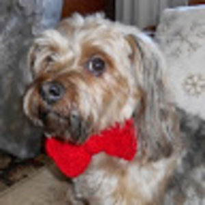 Meet your Posher, Deb